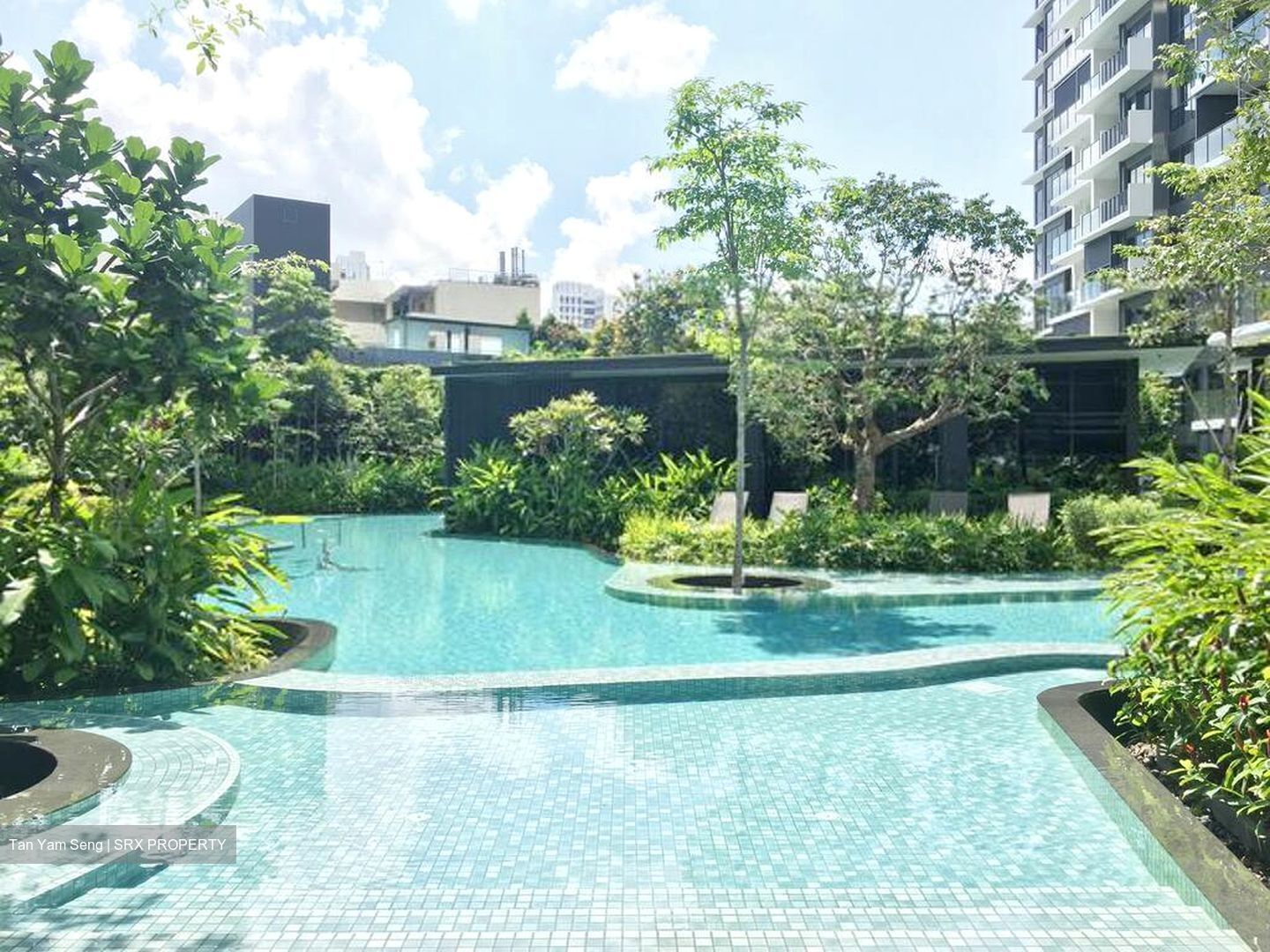 The Clement Canopy (D5), Apartment #559645131